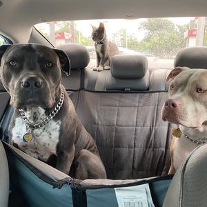 Meet your Posher, Celia